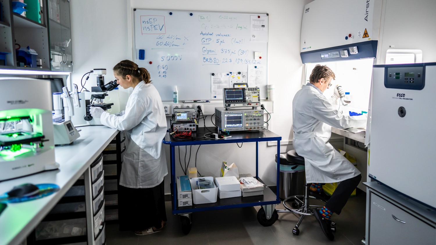 Biophoton research laboratory